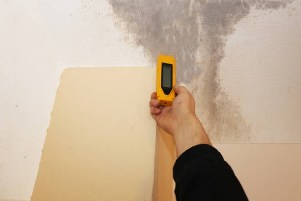 Best Mold Remediation for Healthcare Facilities  in Margate City, NJ