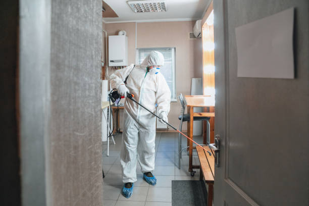 Mold Odor Removal Services in Margate City, NJ