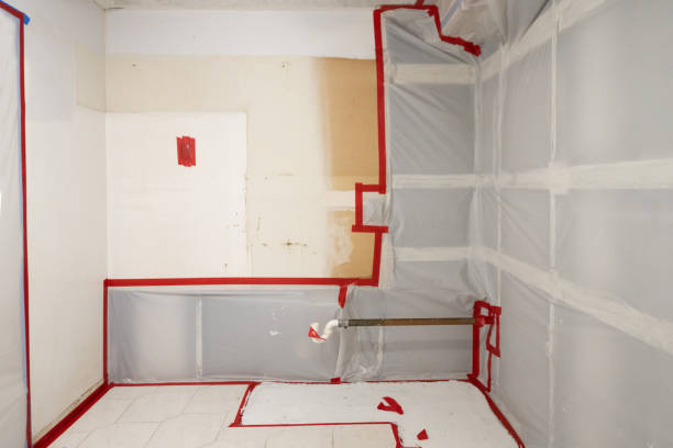 Best Basement Mold Removal  in Margate City, NJ
