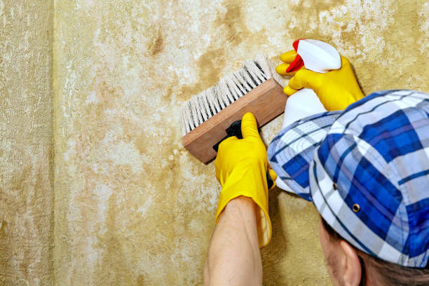 Best Indoor Air Quality Assessment  in Margate City, NJ