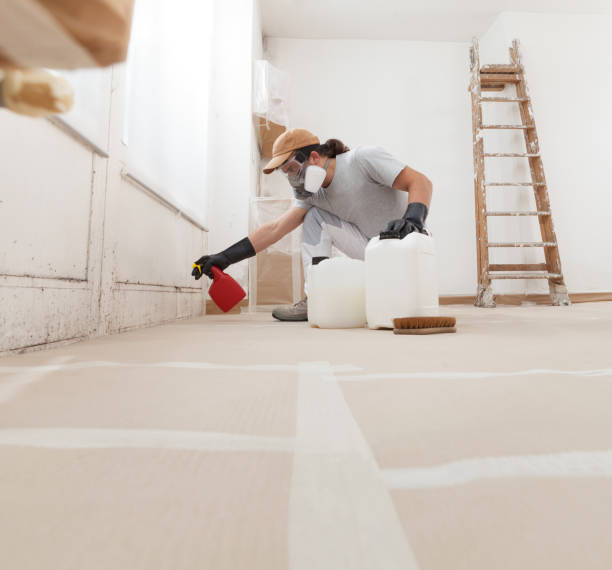 Best Mold Odor Removal Services  in Margate City, NJ