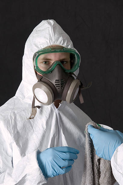 Best Mold Damage Restoration  in Margate City, NJ